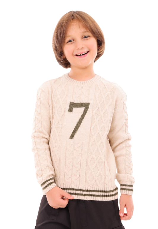 Boys' knitted pullover with a cable pattern (323)