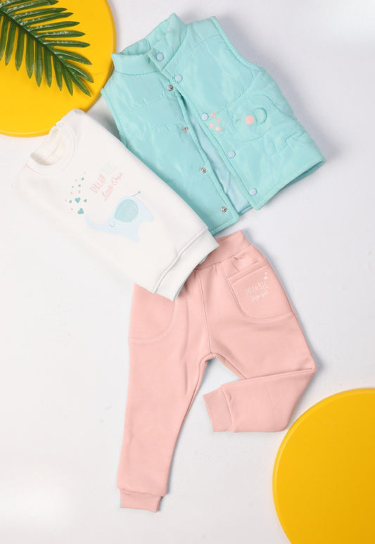 Baby girl winter set, 3 pieces (1061)