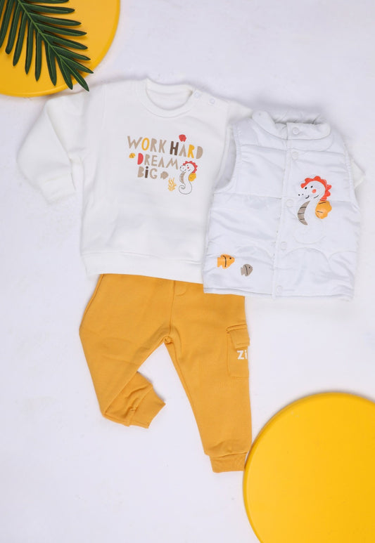 Boys' winter tracksuit, 3 pieces (1050)