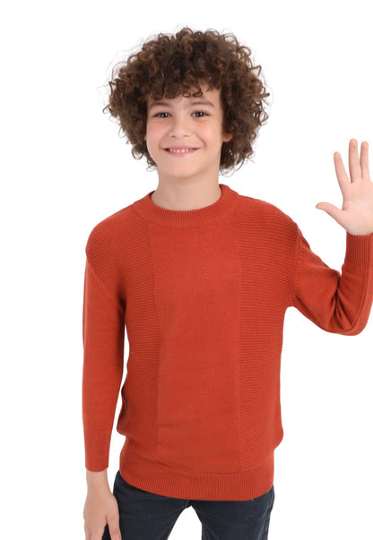 بلوفر أولادي شتوي تريكو سادة (204)